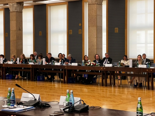 Reunión Extraordinaria del Grupo de Trabajo sobre Migración de la OCDE